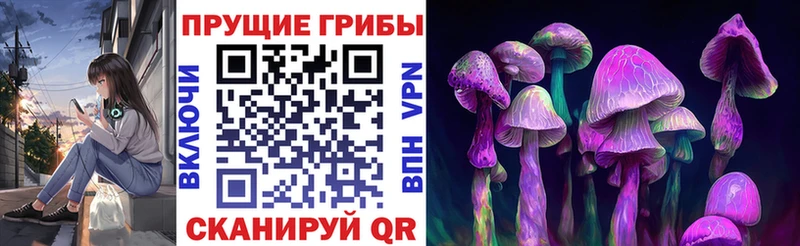KRAKEN ССЫЛКА  Енисейск  Псилоцибиновые грибы мицелий 