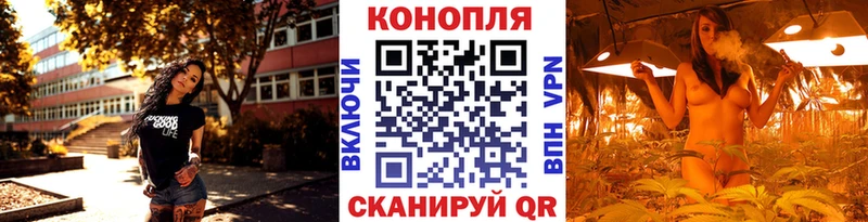 kraken ссылки  Енисейск  Марихуана сатива 